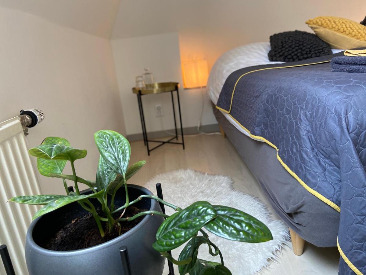 B&B Het Atelier Doesburg Dış mekan fotoğraf