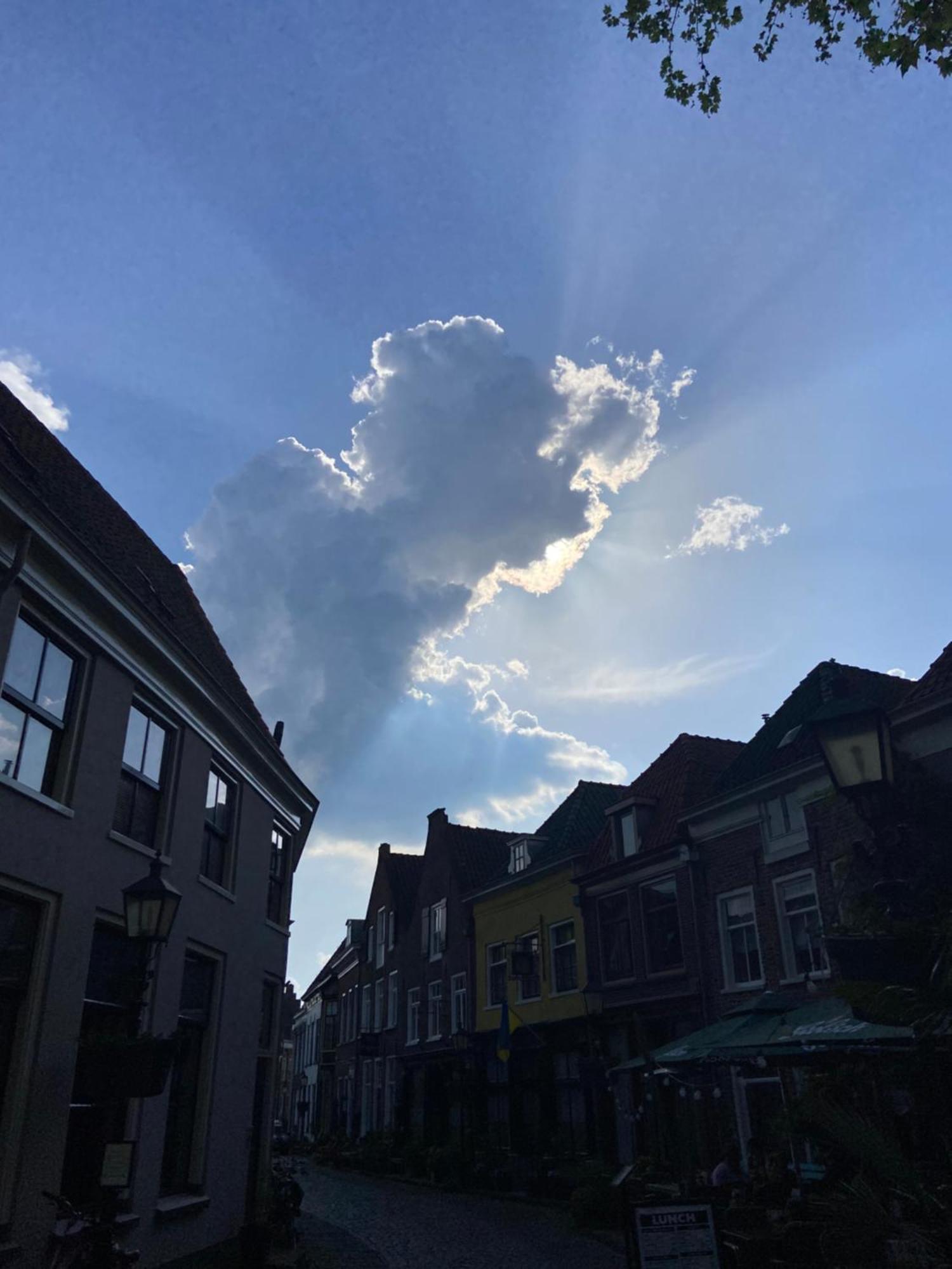 B&B Het Atelier Doesburg Dış mekan fotoğraf